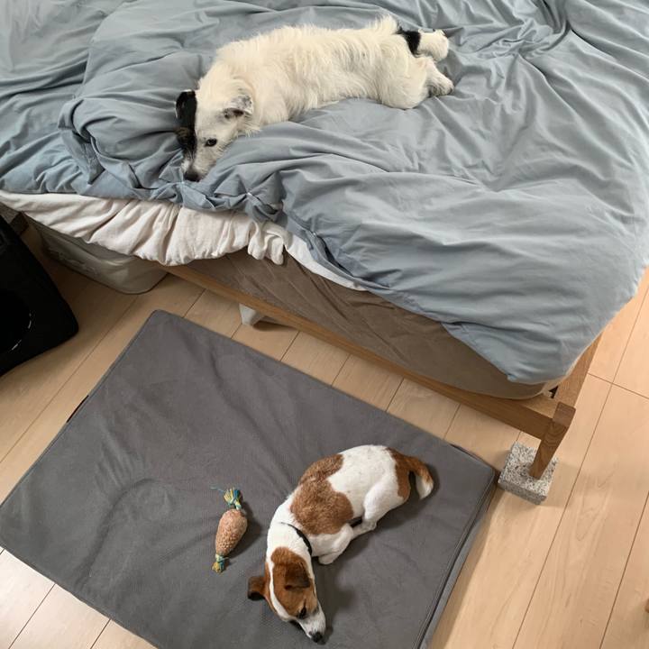 72758a13 4c0f 47bf 97c4 67db01609757 1566524254433