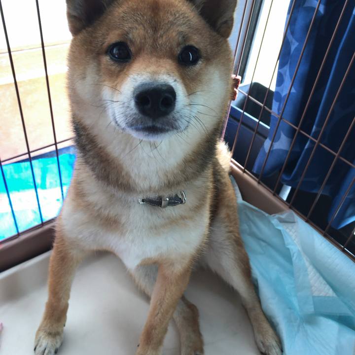 7275b5df 5045 484a 8979 7bf02fd73f14 1532300648505