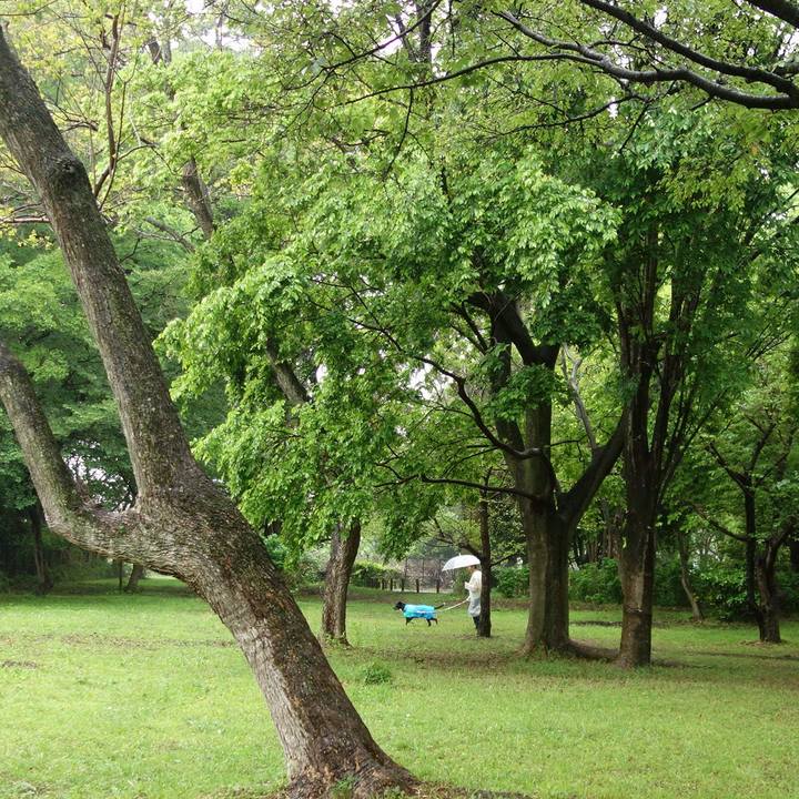 72763815 72fd 4846 8a1a e42472747968 1682470021064