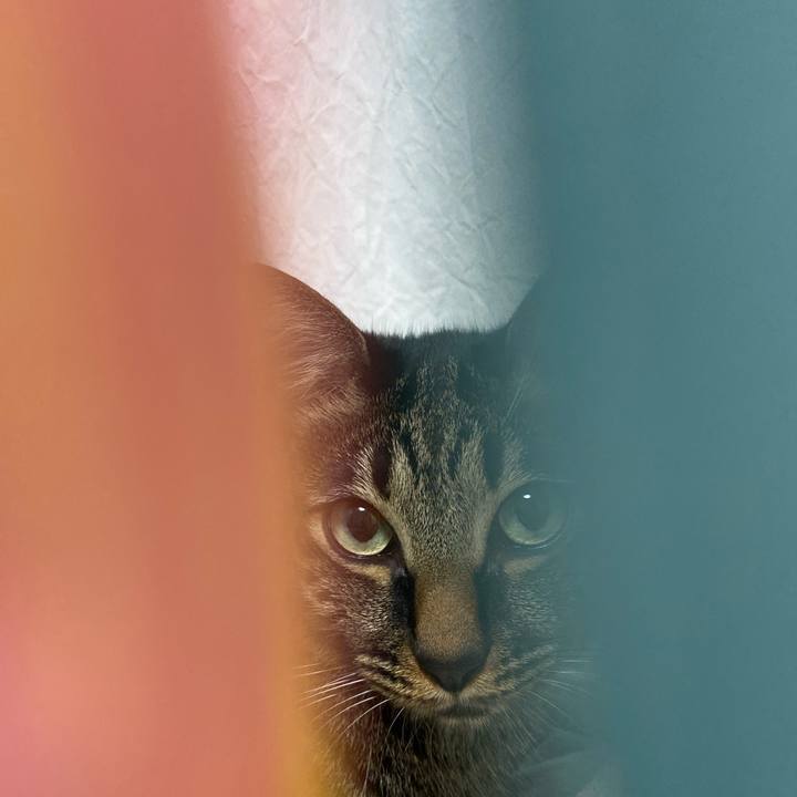 7276537b ce31 4300 9c9f e6da37f67d55 1699277590961