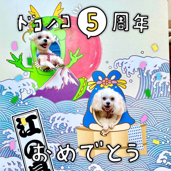 72767571 0fca 431c a988 553939e413a8 1622854646407