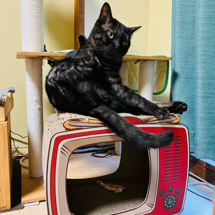 72768ee7 7fe4 4c9a a5d4 0a6476e80c68 1750386828355