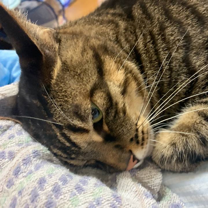 7276a845 e89b 420c 8422 baa33171e2c8 1589893240410