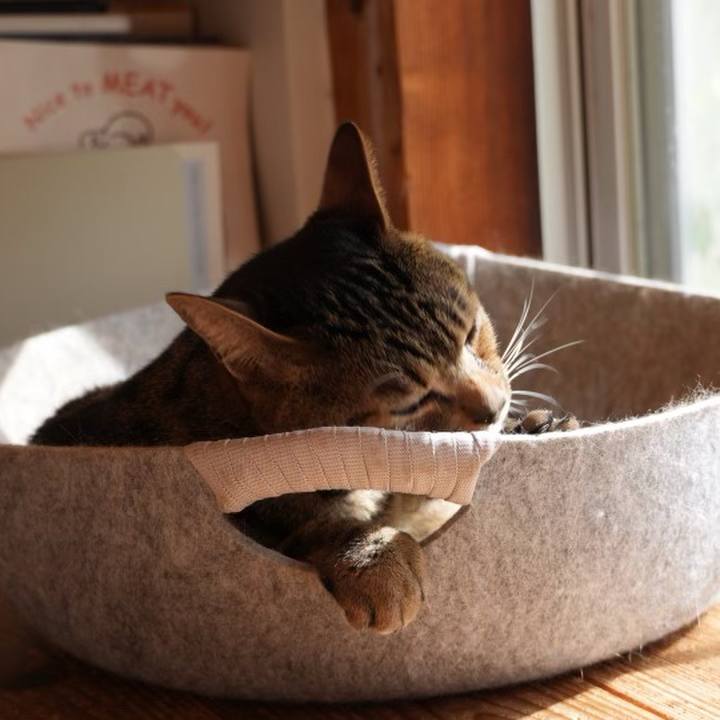 7276ab01 8ad0 4024 a5c5 5bd100fd7ae5 1731502552372