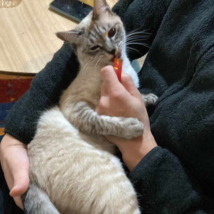 7276bd08 4586 44c1 87a3 8c09c0917669 1608262580314