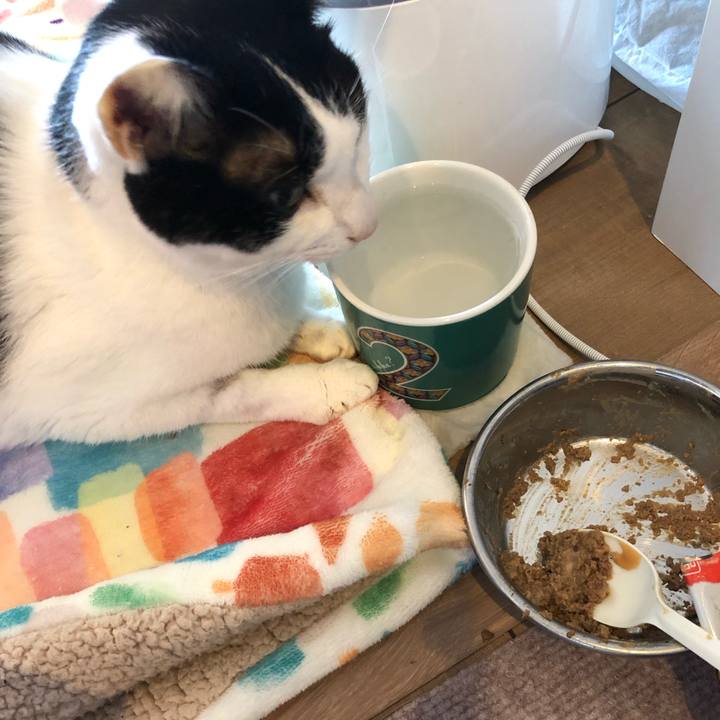 7276d33d d6bf 45aa 8c4b b4543489e149 1642114543039