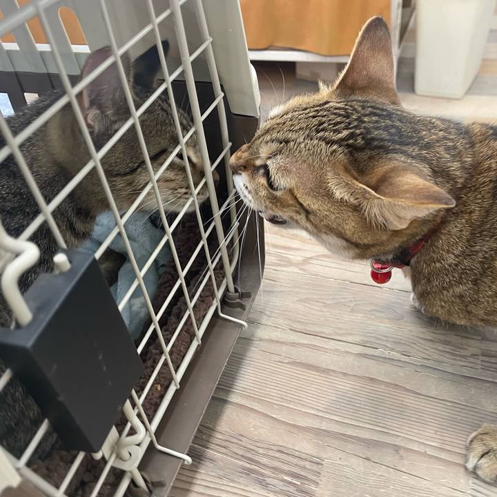 7276decf ba0e 4e17 bdf1 bb126c3a5554 1726750495825