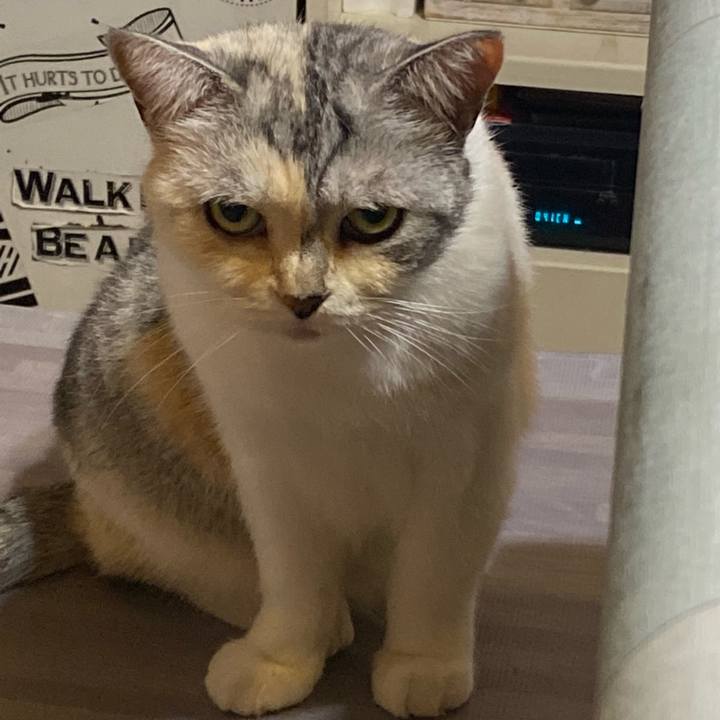 7276e2a4 5543 4064 9712 fdb926331aad 1633518210257