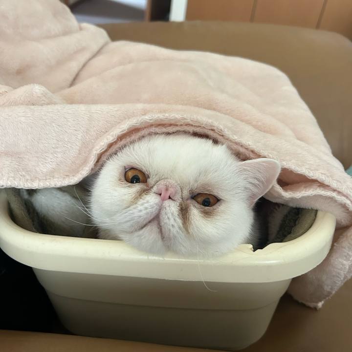 7276f72b 4e80 44f3 96a4 d07108e6eb42 1709173115369