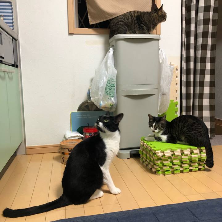 7277020b efdd 4065 8e91 0b0240297b89 1563479986778