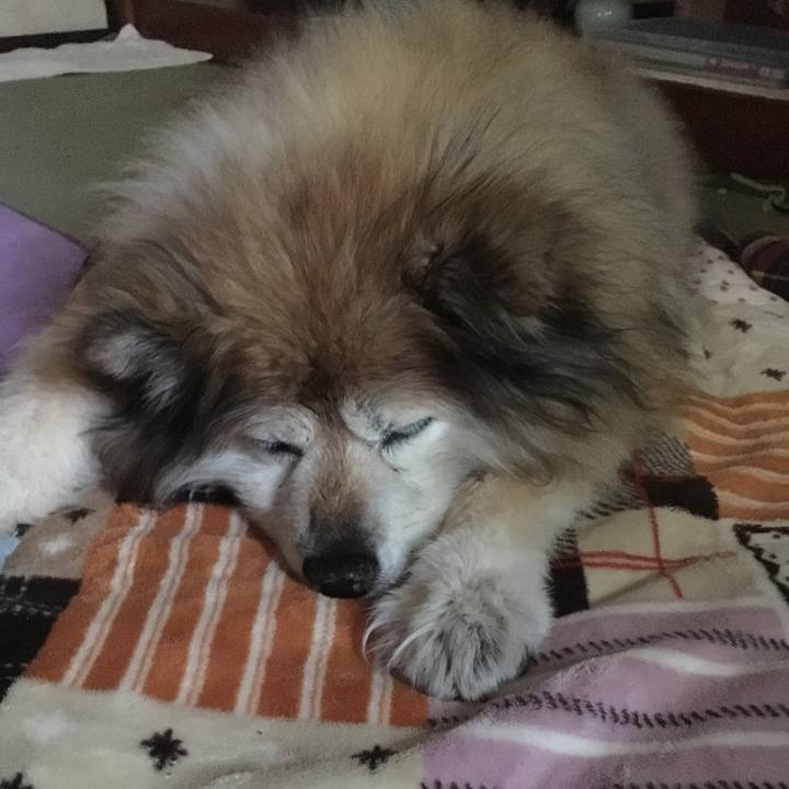 72772161 7295 40f0 89bf 125f9bf4c5e1 1568767881794