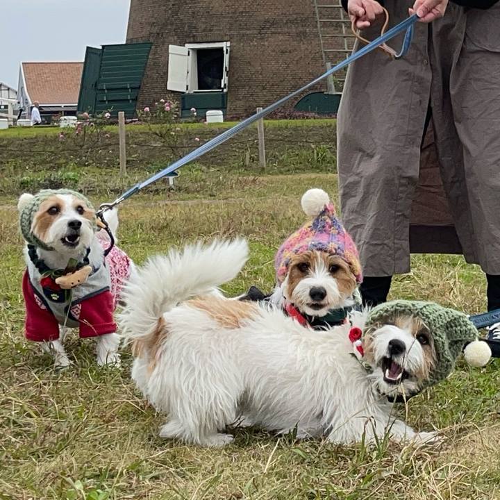 72775252 a8cb 4a2d bada eb0a8dd694ac 1763904025500