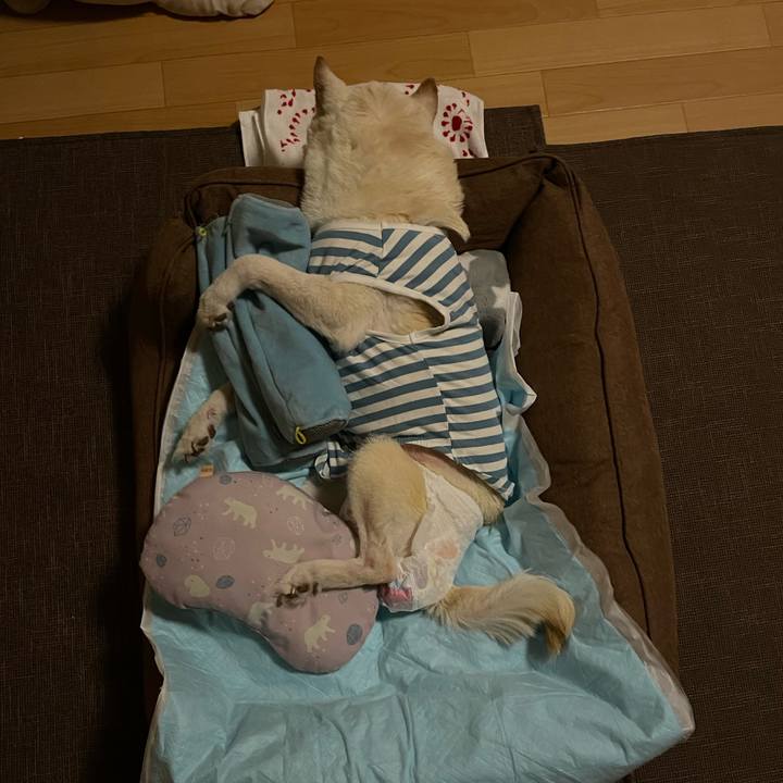 72776ea5 1d7f 40ee ae46 f47acec2da57 1666618719595