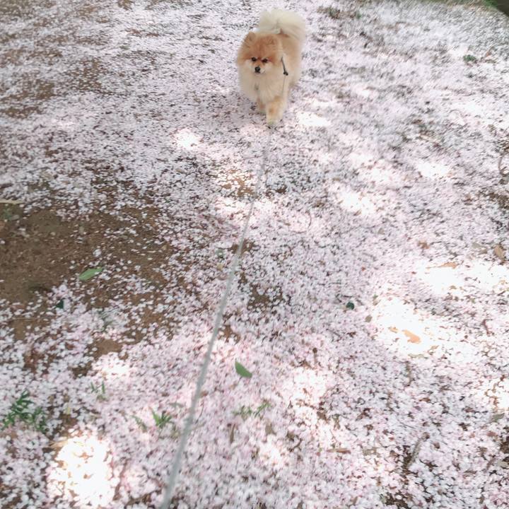 72777080 307e 4e6d 91c6 e688d3d774b5 1522671897208