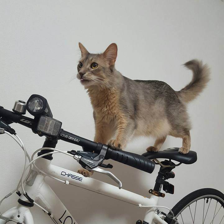 72777c51 2c94 4049 80d3 57fad688863a 1535970069414