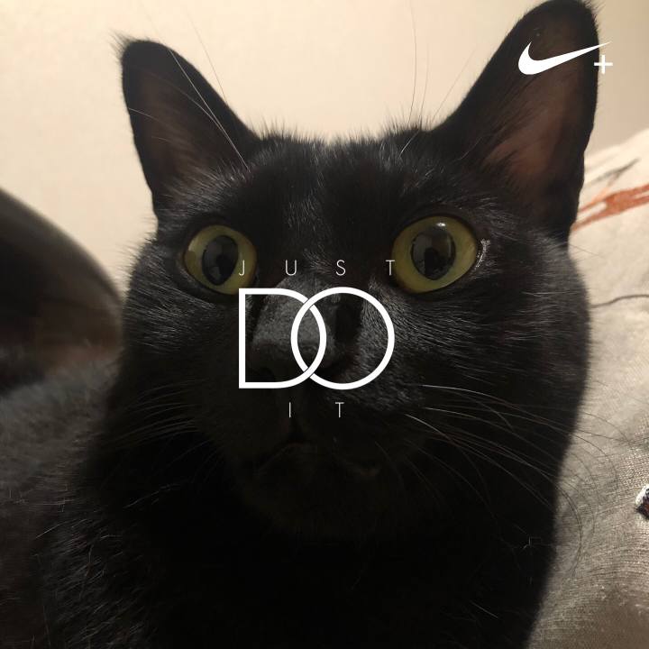 7277a711 595c 4b8a b695 2804b88c05f7 1600342950041