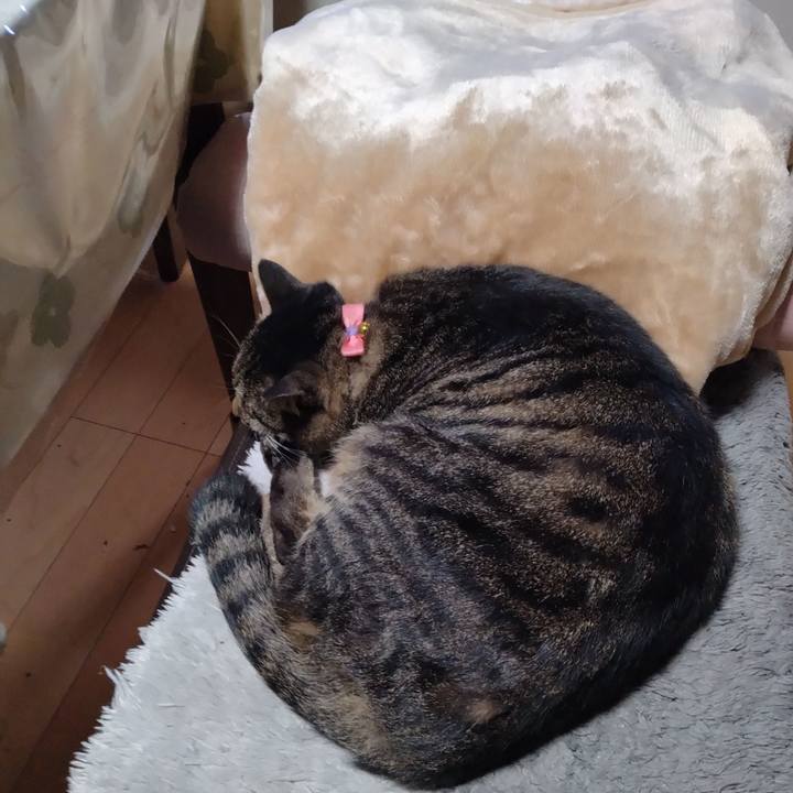 7277abb5 500f 44f1 918f 5e3c80464533 1666481710506