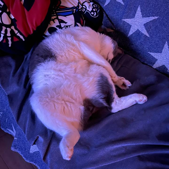 7277d25c a1d7 407a 967e bd0890a73818 1659790216234