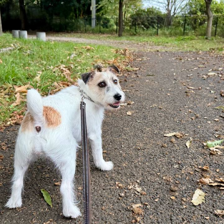 72781d03 7e56 4f91 b891 58b5e330a08d 1760366550901