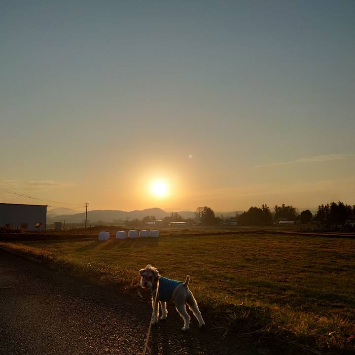 7278367b c1ec 445b 9c94 de3fb5f49252 1765148795124