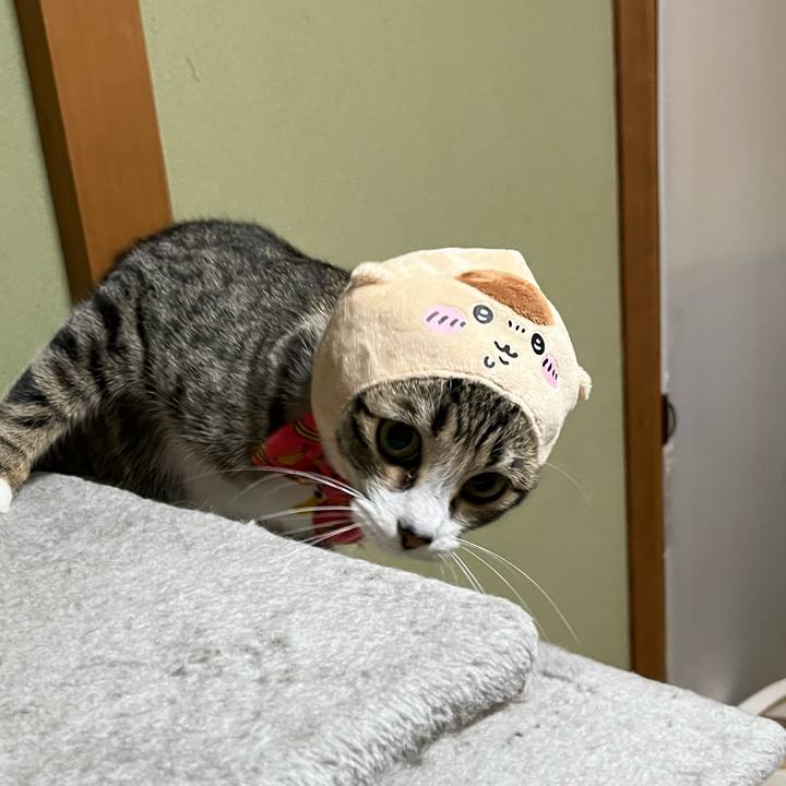 727838d6 0285 44de bb12 eab7b9b3783c 1719268201831