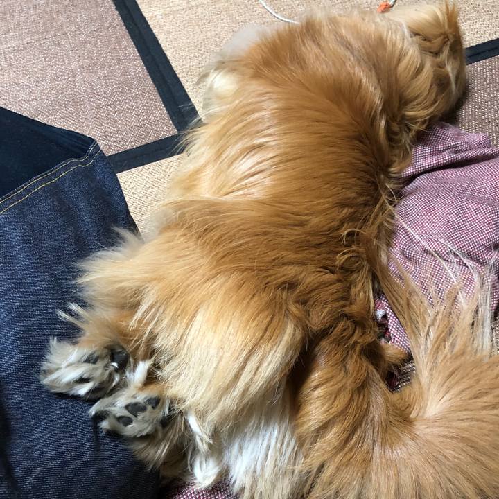 727838f2 dfa4 4fc6 a880 902dc3492a44 1558041969427