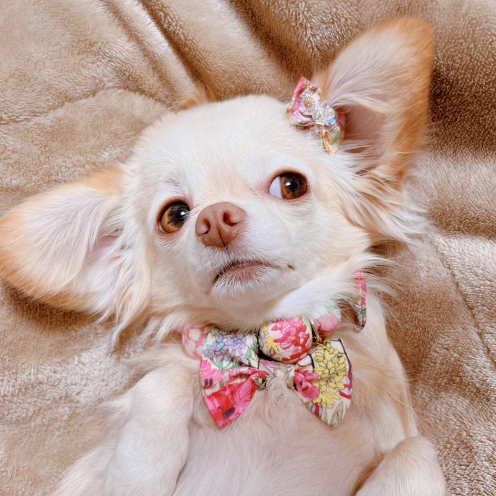 72785745 caf4 4bd8 9f80 0f74a5dd0851 1668688376955