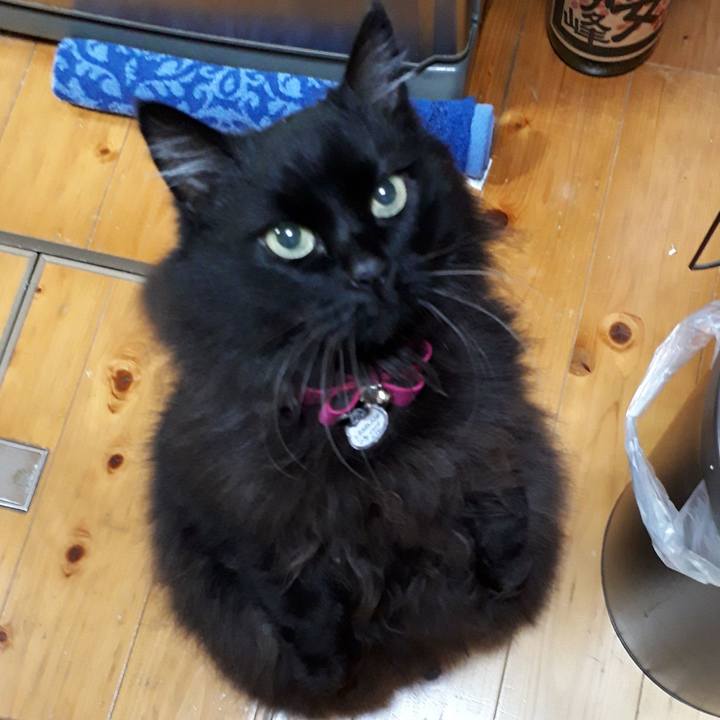 7278cb40 28a0 41ae 8906 bad43968e0d5 1522617068472