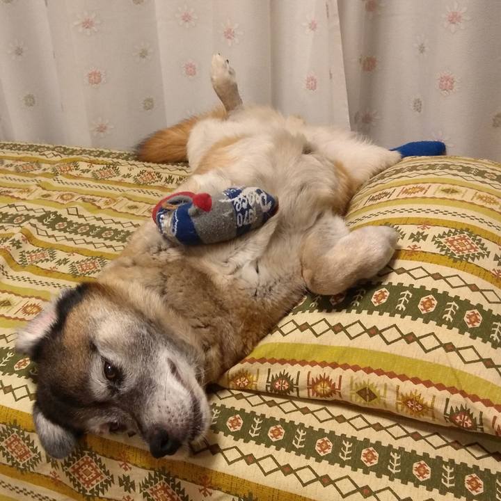 7278df50 d81a 4f37 8545 757cbba46cd6 1563279967354