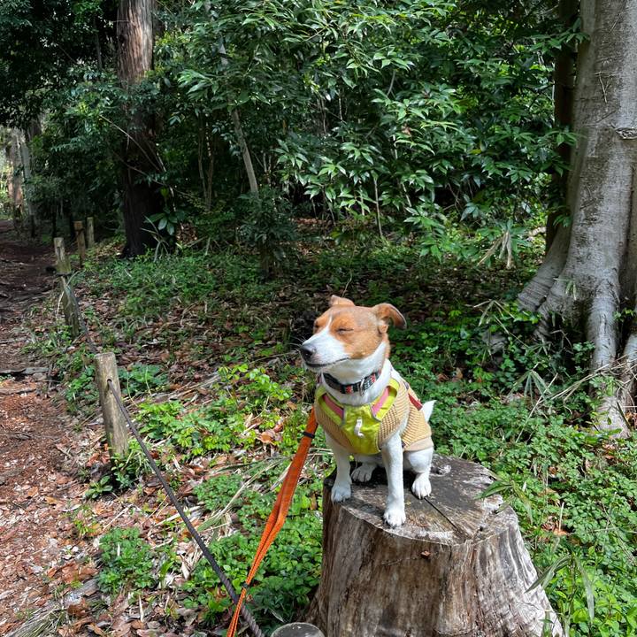 7278f534 4c54 4a74 af01 ed544a38189a 1744603331025