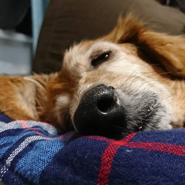 727944b5 5172 4608 bec0 fa91efc5643a 1509035895486