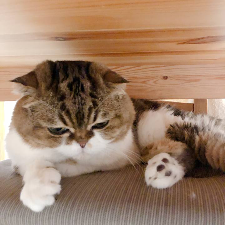 72795317 9d75 474d a991 25a0f1205bd7 1570879584315