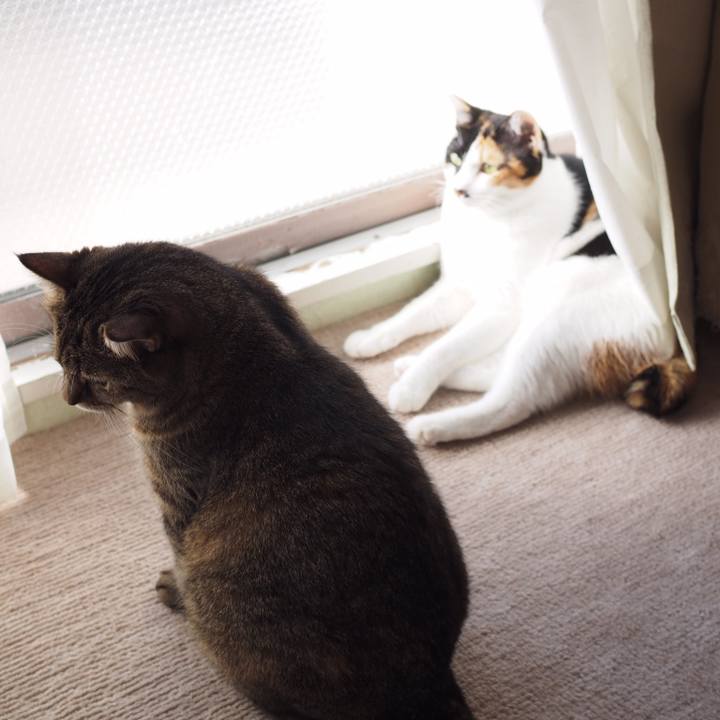 72797026 cb79 4c27 aa9c 53c80401f511 1544710541137