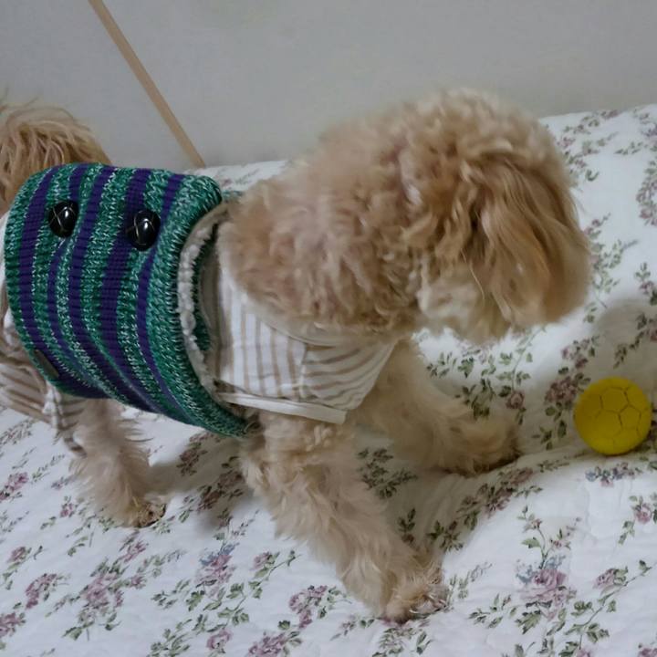 7279907b 1b24 44a4 89c3 4ca9e8b5aa33 1508838890131