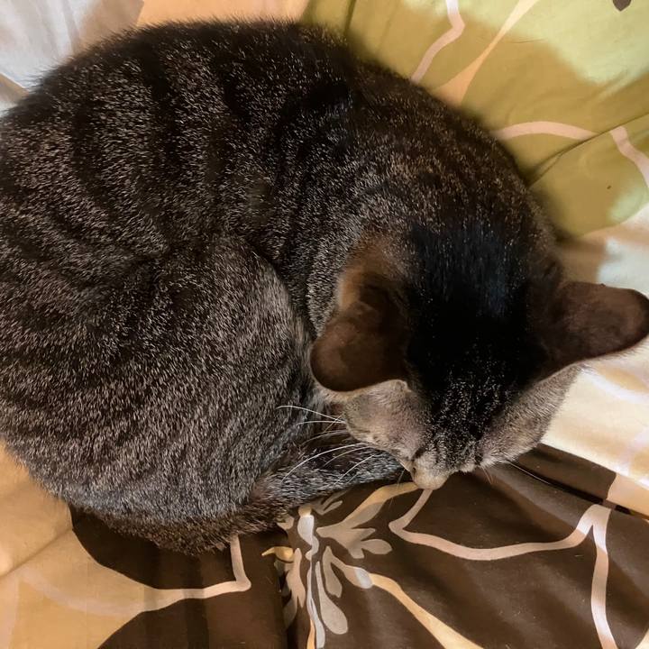 7279a831 a28c 4e8e 8e3b b80ea41c972a 1771801409670