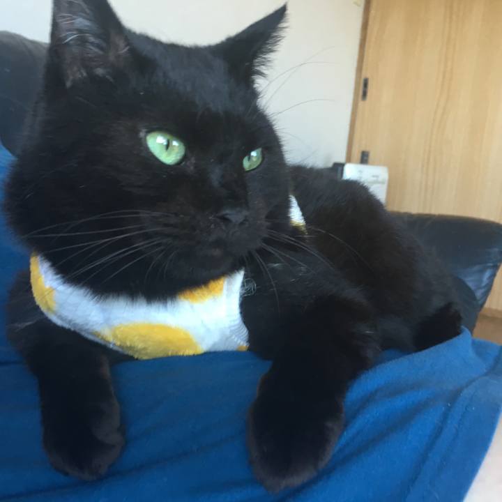 7279a8a6 92f1 414c b88d b1e9b8ec4972 1541201642961