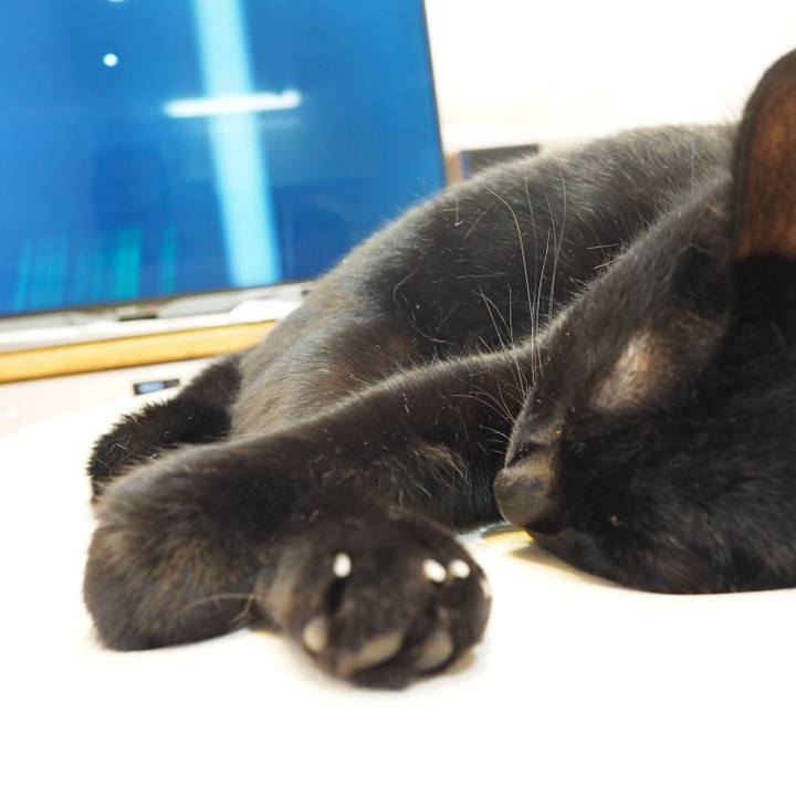 7279cea0 14a6 46ff 8c3d d550a782e2c0 1537919463514