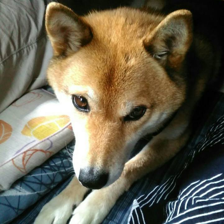 727a1058 492f 4edb b690 744658b792f9 1565836955944