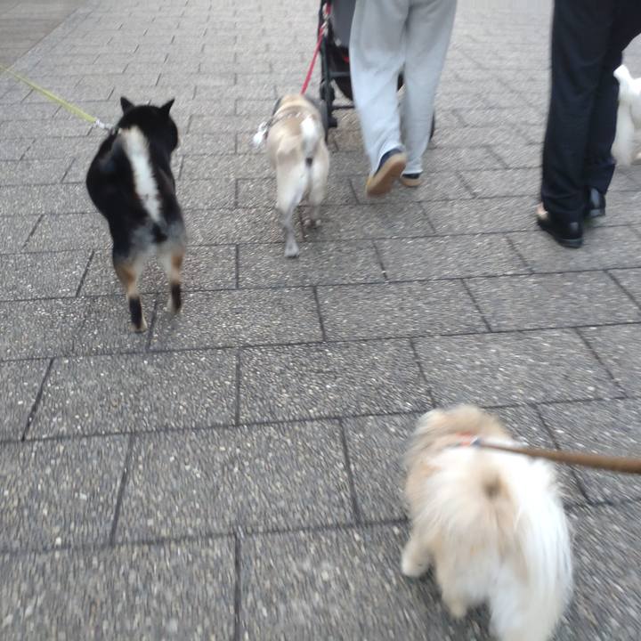 727a2b8c 7bab 45e4 b116 d3ddcedb1db1 1751350837855