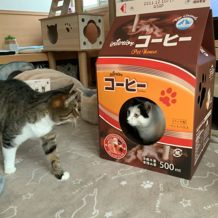 727a579a aa6d 4f64 bc6b 5eb5f5cf905d 1763276092914