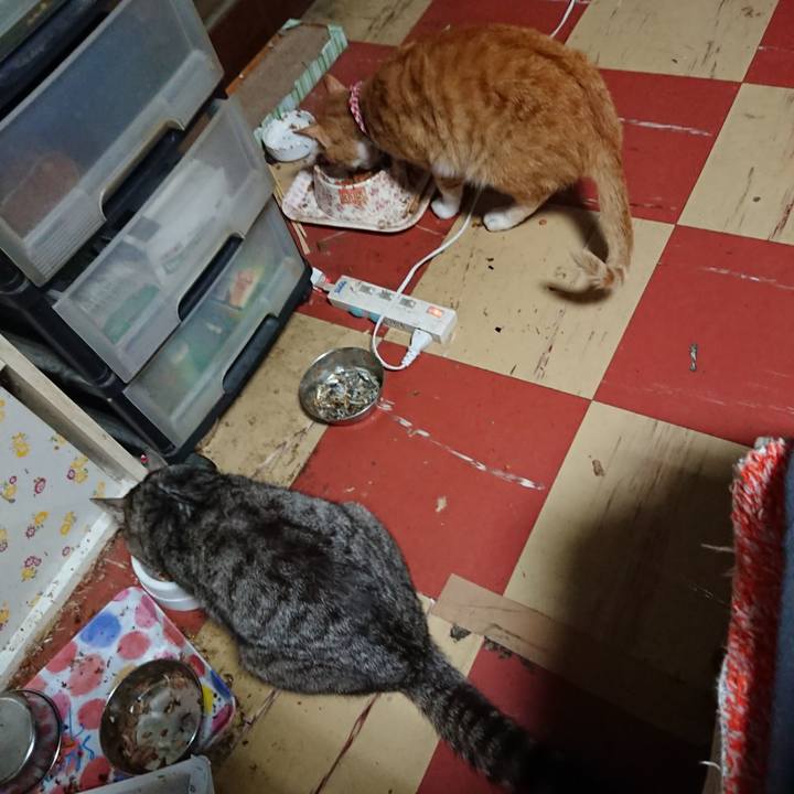 727a8ad5 b903 44ba a49e b54a47518d39 1559853735606