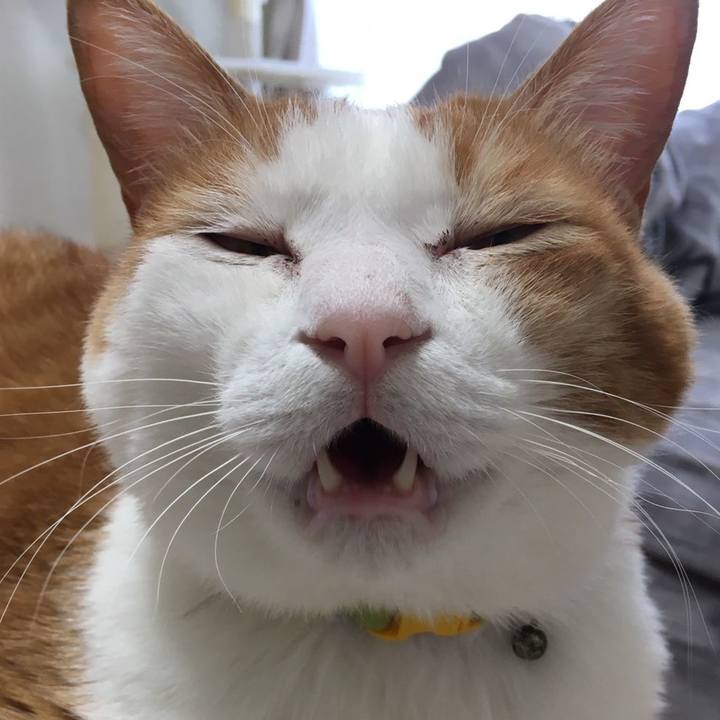 727a916f 4f6d 495f 89cc 67c2f6ee61d8 1584489475214