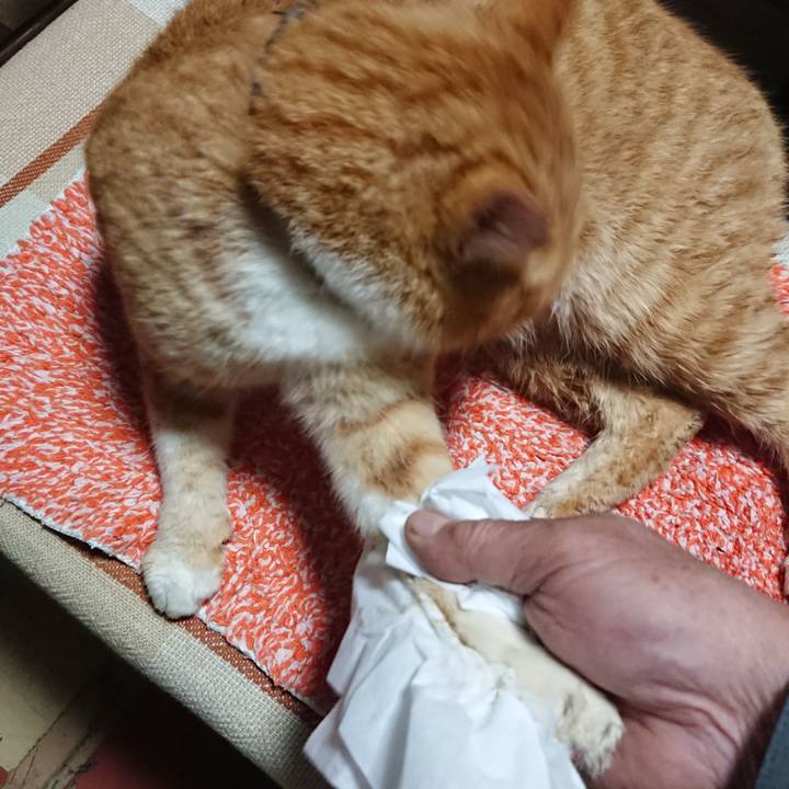 727a9273 776a 4b84 b347 13cdf1217d76 1576109327141