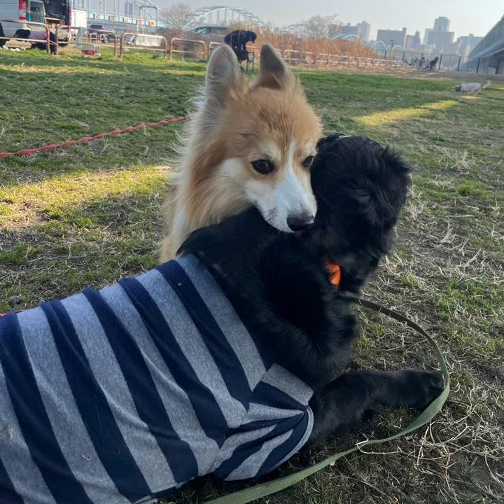 727ad8cc f8fd 4171 a602 135ac269d476 1768649369428