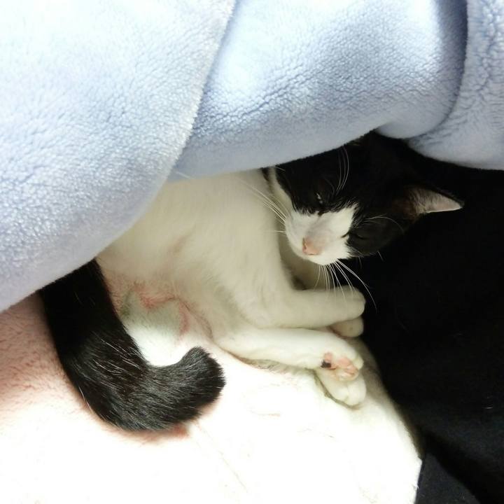 727b024c be3b 4bca 8955 05a66a91eb73 1509794195936