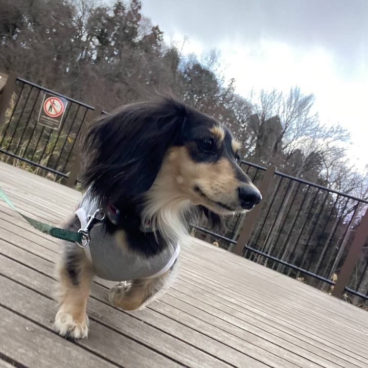 727b2099 95ed 4ba2 a33d 0ccafdf6eb41 1769383343701