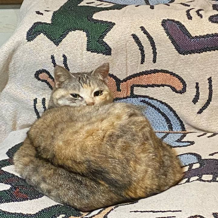 727b5a78 72f0 4321 bcc0 48055c718f70 1712662265364