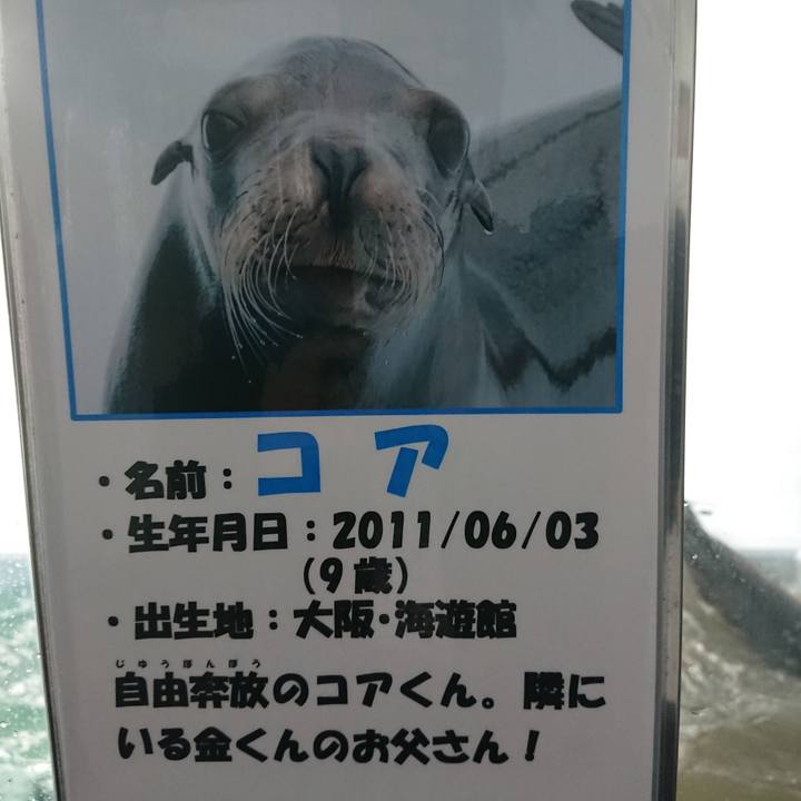 727b66a5 451c 4686 953d e2cb20b9edb6 1605510410722