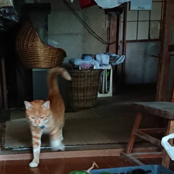 727b80d6 187d 497a a4ea 214f6b1df035 1568279943098