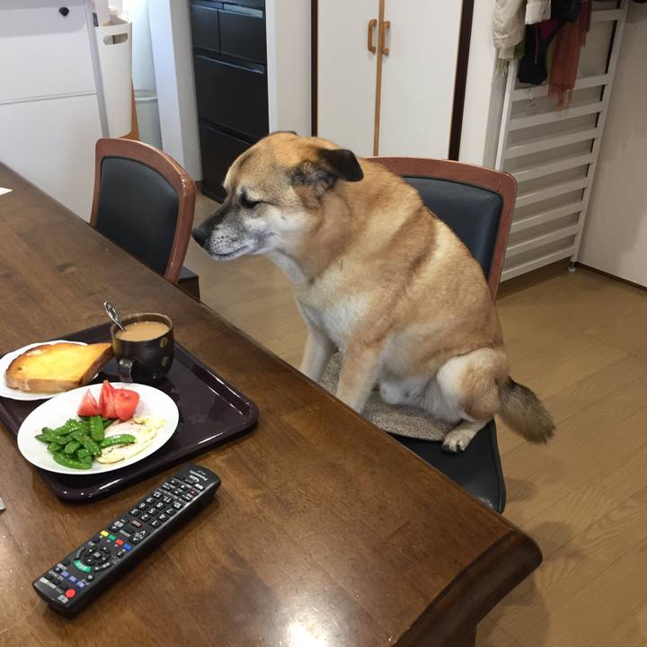 727ba5d9 3090 4c79 a332 bd825661801d 1525133540920